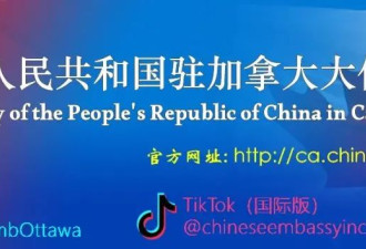 中国签证中心11月20日起恢复亲自递表！取消在线预约