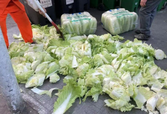在北京，白菜被制度化为了垃圾...