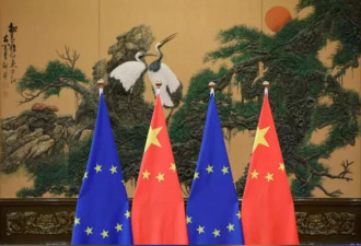 上海进博会将登场 中国欧盟商会批：作秀