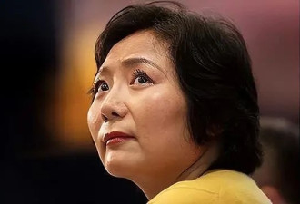 手握11万亩地皮她才是隐形“地产女首富”