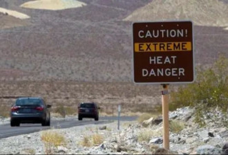 死亡谷惊见“骇人”野生物 游客猛踩煞车酿车祸