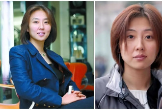 著名“美女老总” 前河南省足协主席杨楠被立案调查