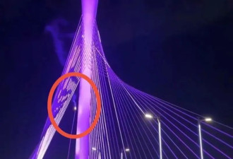 石家庄网红大桥悬索断裂在桥面起火?建设单位回应