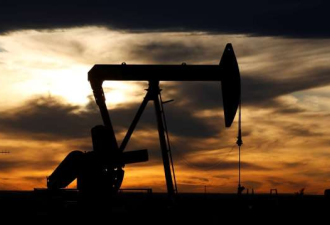 国际原油价格大跌 到底发生了什么？