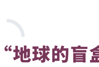 进山挖野生松露，北京中产的寻宝游戏