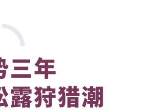 进山挖野生松露，北京中产的寻宝游戏