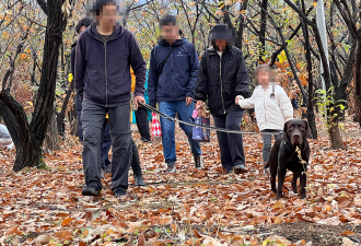 进山挖野生松露，北京中产的寻宝游戏