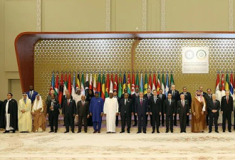 沙特特别峰会通过涉巴以冲突决议