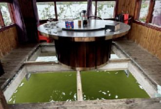 水上餐厅用餐 玻璃地板碎裂 一位前区长坠湖溺亡