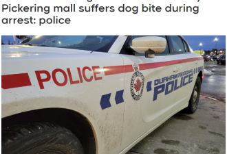 两青少年在大多区商场抢劫 被警犬咬伤