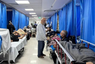 世卫组织：加沙最大医院已几乎成为墓地
