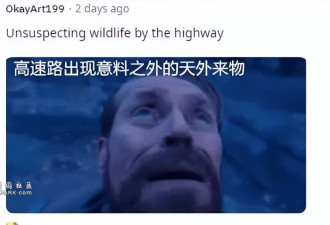 中国高速路装激光灯氛围魔幻震惊海外 以为吸多了
