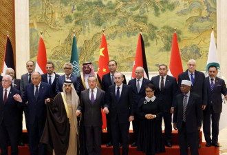 阿拉伯伊斯兰国家外长代表团访华 王毅呼吁 &quot;恢复中东和平&quot;