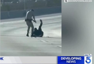 洛杉矶男闯高速阻交通 袭警夺枪被击毙起争议