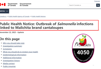 加拿大爆发沙门氏菌疫情26人中招！小心这种水果