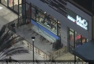 洛杉矶购物中心发生枪击事件 6人被捕