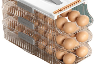 ZeJlo 自动补位鸡蛋收纳篮*3层 能装42个蛋
