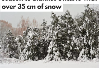 第一场雪暴袭击安省，降雪量超35厘米，约克区北部影响较大