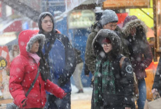 纽约闹雪荒 652天单日降雪未逾1吋