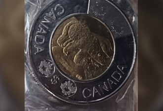 中国造的假2加元硬币进入安省：如何识别