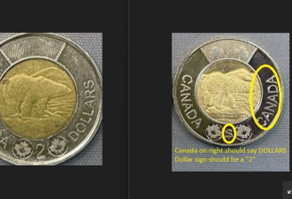 中国造的假2加元硬币进入安省：如何识别