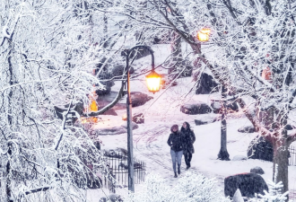 加拿大将经历“非寻常”厄尔尼诺气象！安省可盼白色圣诞一月更冷