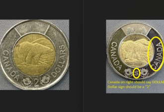 注意！加拿大惊现大量假硬币！教你如何识别？