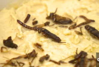 毛骨悚然！加拿大大学举办“奇葩”烘焙大赛：疯狂吃虫子！