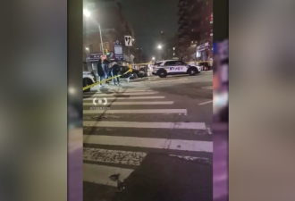 纽约法拉盛3岁华裔男童遭车撞丧命 警追查肇事者