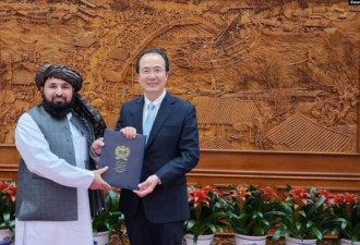 阿富汗塔利班：中国是第一个接受其大使的国家