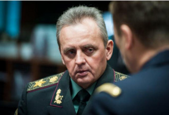 前乌克兰参谋总长承认反攻让人失望