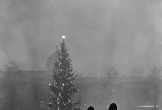 挪威给英国送了一棵“非常敷衍“的圣诞树，网友们凌乱