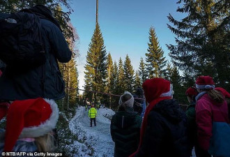 挪威给英国送了一棵“非常敷衍“的圣诞树，网友们凌乱