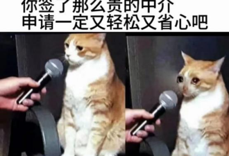 中产家庭返贫大坑之一：不靠谱留学中介
