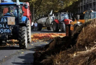 法农民组织车队向政府大楼狂喷粪便！