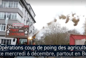 法农民组织车队向政府大楼狂喷粪便！