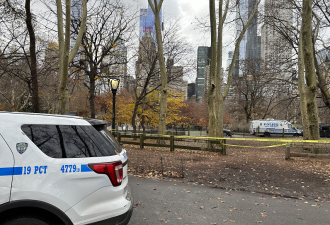 纽约中央公园惊现男尸 身中多刀颈缠鞋带