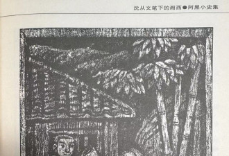 中国“绘本奶奶”：作品太美进入日本教科书