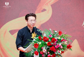 “金融茶”崩盘背后，“董事长”仅21岁