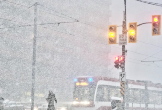 【视频】万锦、列治文山突发"强降雪"警报！20cm暴风雪横扫多地