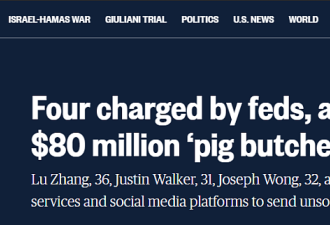 4人在美国杀猪盘诈骗超8000万美元！