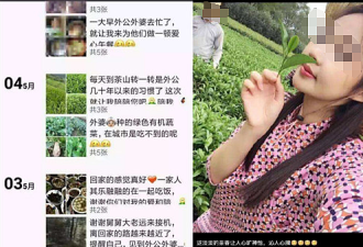 “投资茶叶可赚大钱”！华男惨赔被拉黑