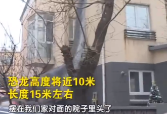 吓傻！北京一居民花10万买高15米恐龙