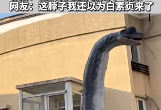吓傻！北京一居民花10万买高15米恐龙