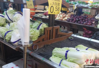 近5年最低，白菜真卖出了“白菜价”