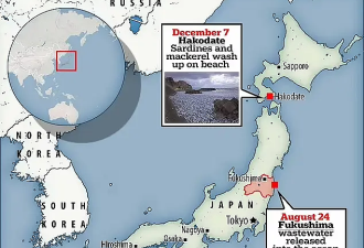 日本千吨死鱼涌向海岸，日本人大破防
