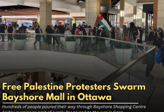 混乱！示威者闯入渥太华商场  两个全球连锁品牌门店被围堵