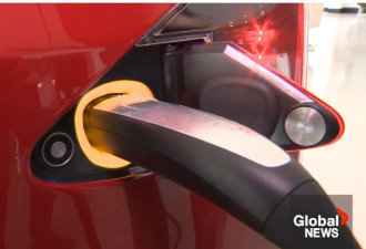 加拿大宣布2035年淘汰纯汽油新车！电动车销量三年要翻倍！