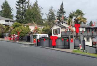 加拿大妈妈布置精美圣诞装饰！邻居怒了：别卷这个社区！