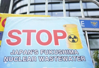 日本鱼类大量死亡 与核处理水排海有关？